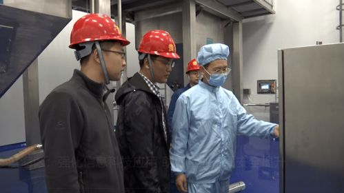 滨海区强化信息科技应用，助力企业安全管理与技术开发